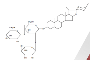 <p>a type of asparagus structure</p>