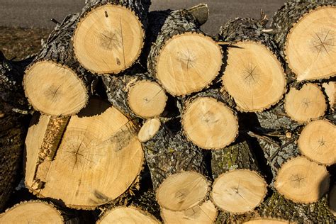 <p>Wood</p>