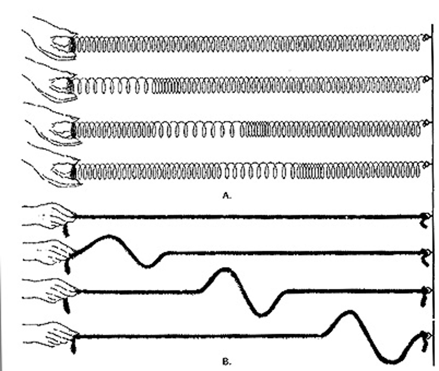 <p>P wave</p><p>S Wave</p><p>Surface Wave</p>