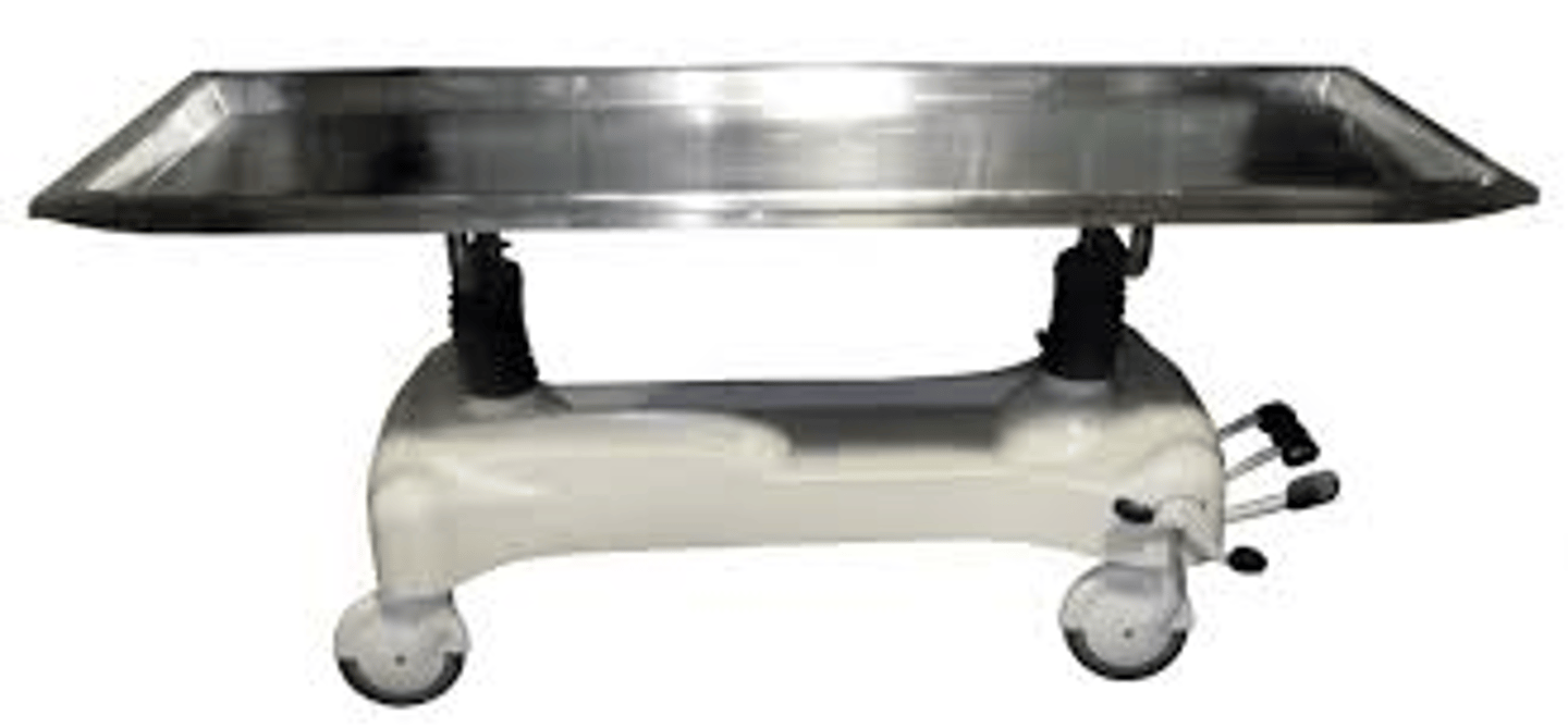 <p>porcelain or stainless steel; stationary or movable</p>