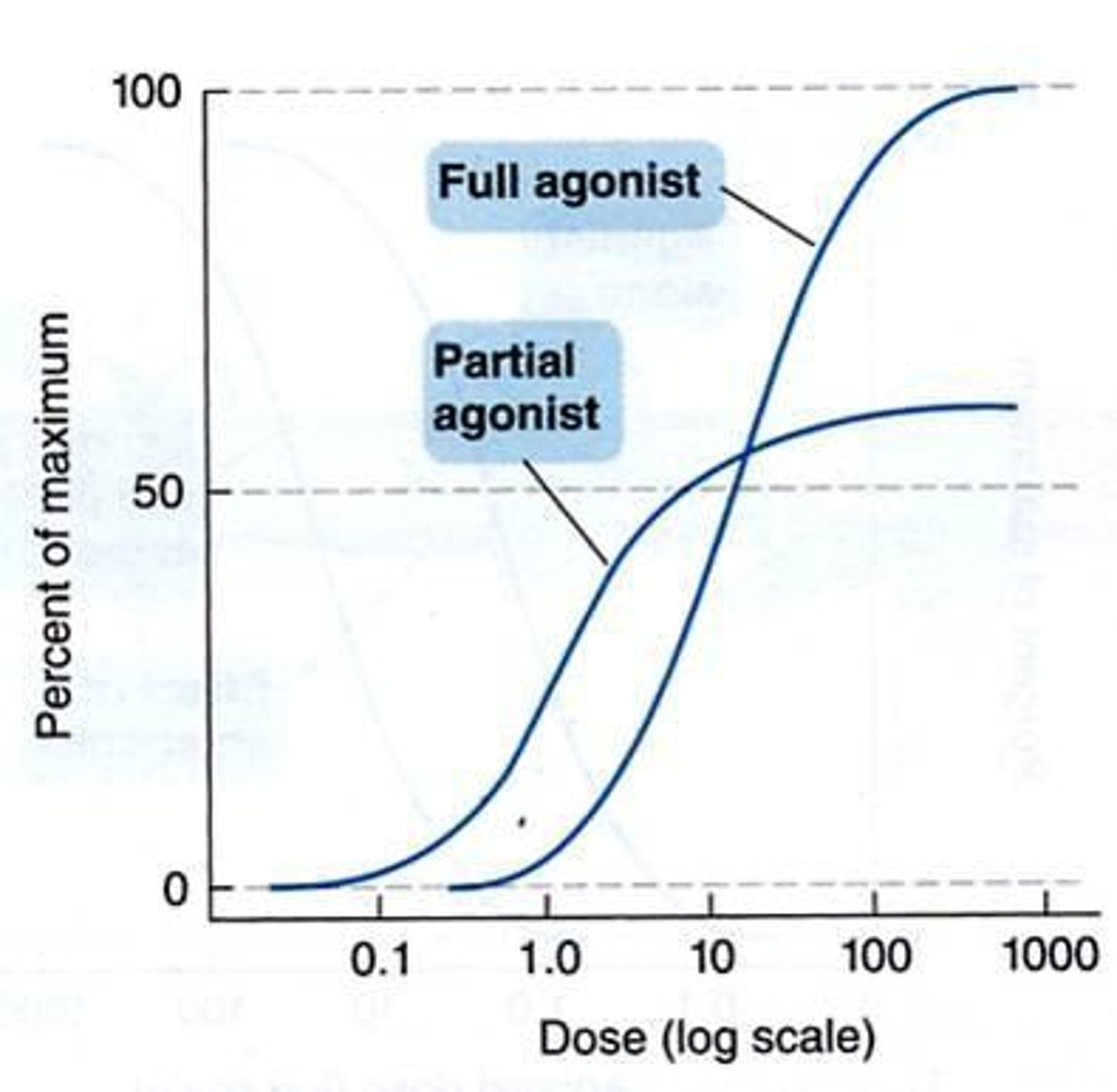 <p>Medication that produces a weaker, or less efficacious, response than an agonist.</p>