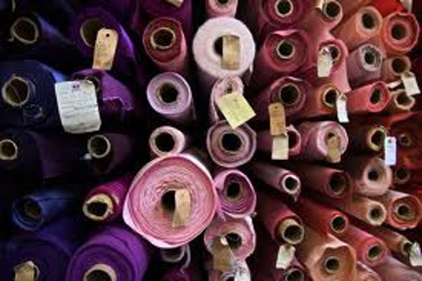 <p>the fabric</p>