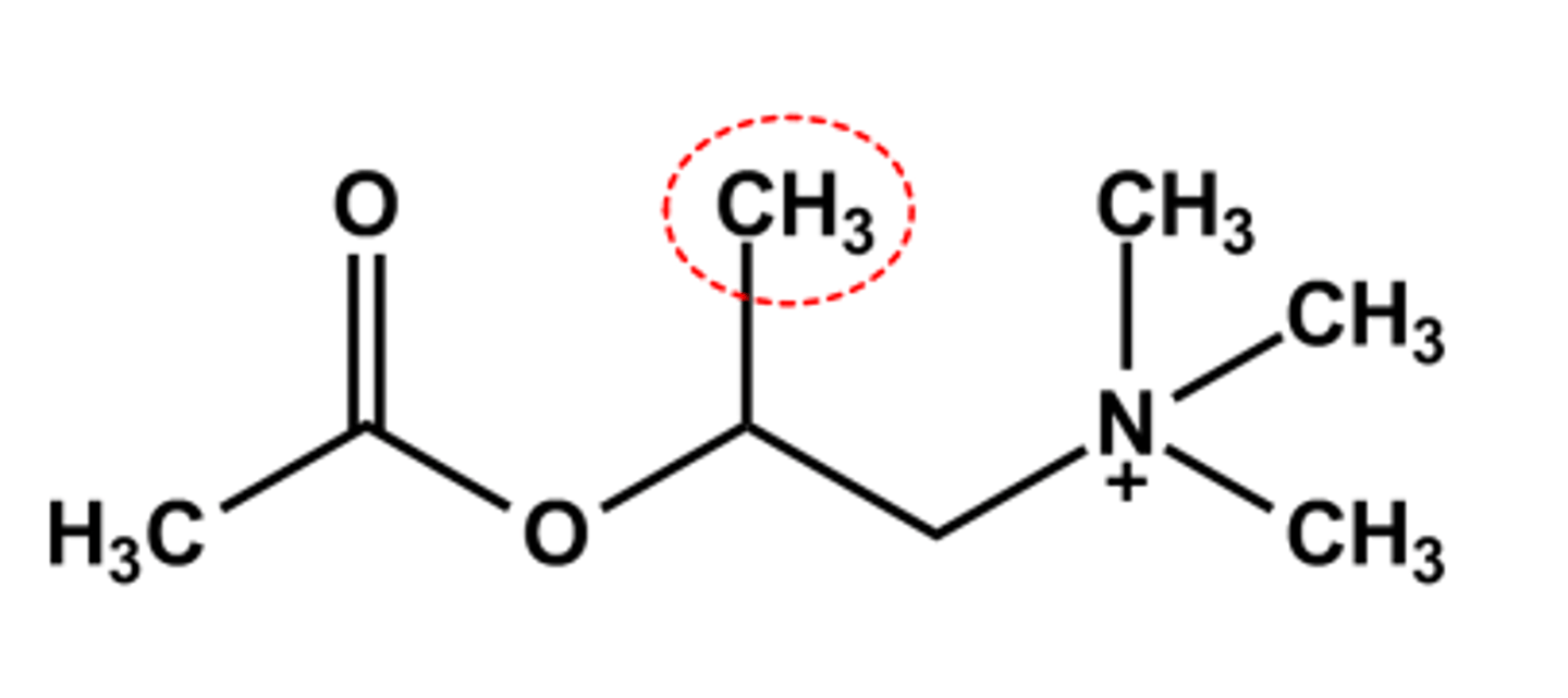 <p>- β-Methyl favors muscarinic activity, extra binding opportunity with the receptor binding site</p><p>- S-(+) Isomer is 240x more potent than R-(-) isomer</p><p>- Hydrolyzed 50% slower by AChE</p><p>- LogP = ca. -3.8</p><p>- Use: Asthma diagnostic. Administered by inhalation with a nebulizer to test for asthma since the drug causes wheezing and shortness of breath</p>