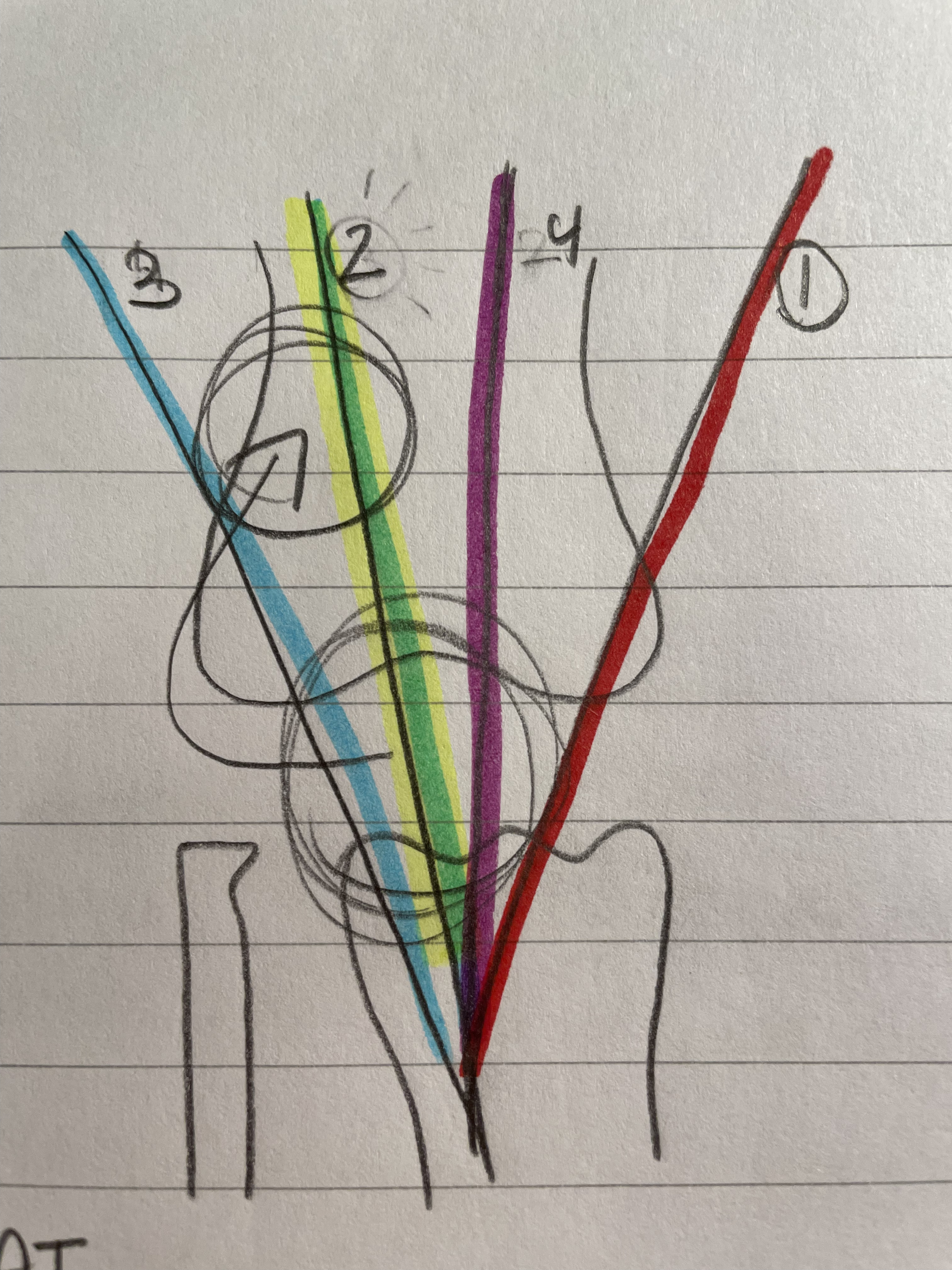 <p>Patella Dislocation Rehab</p>