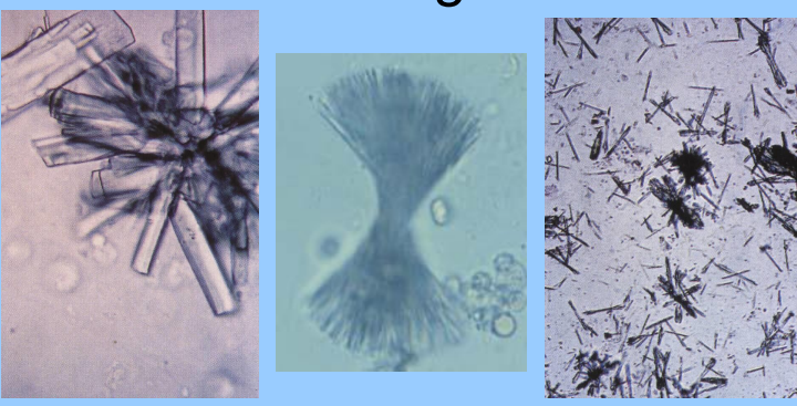 <p>What are these?</p>