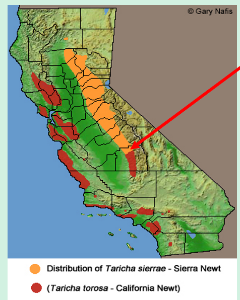 <p><span>• Western slope of the Sierra Nevada Mountains <strong>North</strong> of Kaweah river</span></p><p></p>