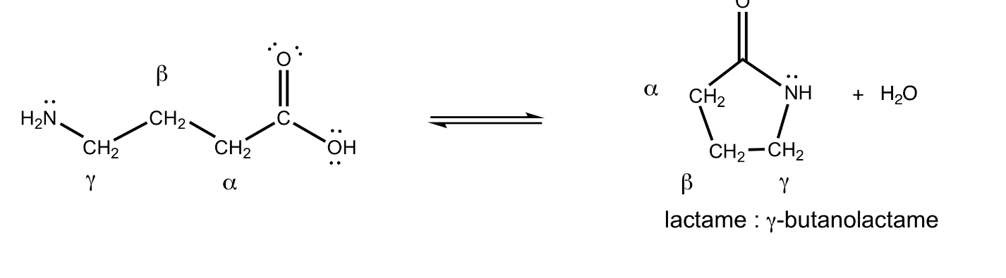 <p>amide cyclique</p>