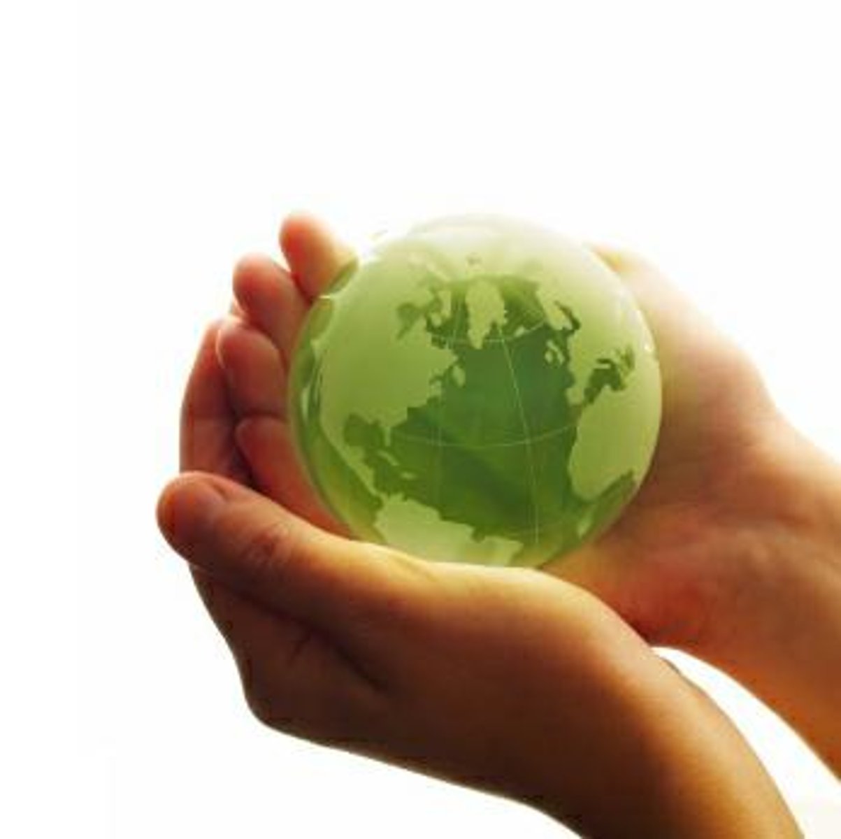 <p>enviroment</p>