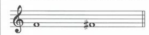 <p>Identify the type of accidentals</p>