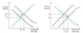 An increase in the production of one product automatically increases the supply of at least another.