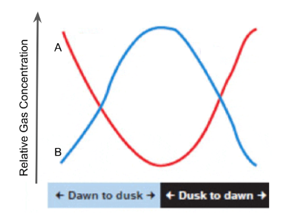 <p><span>Name an organism that could be within this enclosed ecosystem that could contribute to the relative level change of gas B that would be consistent with its data for both day and night.</span></p>