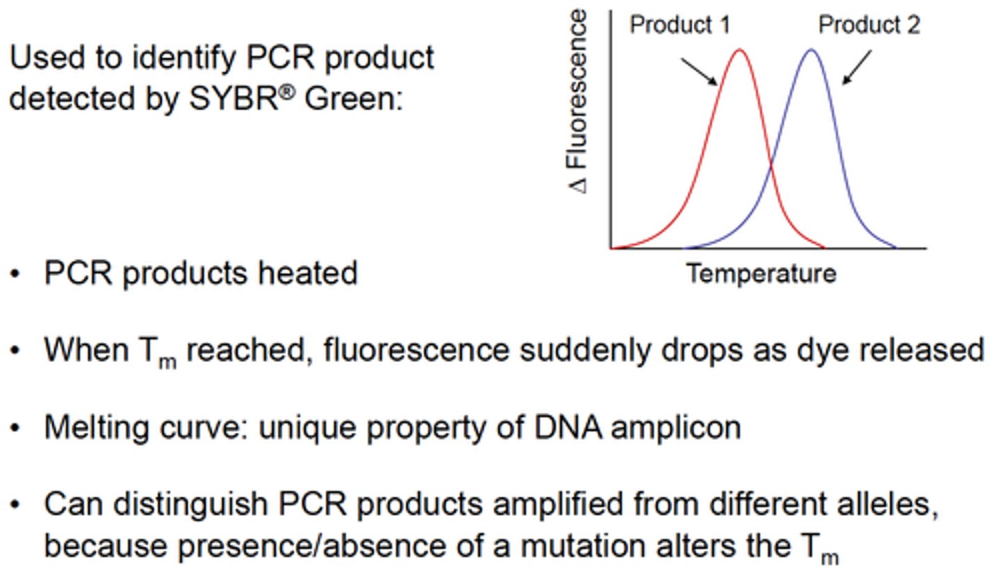 <p>Increased specificity of PCR product identification</p>