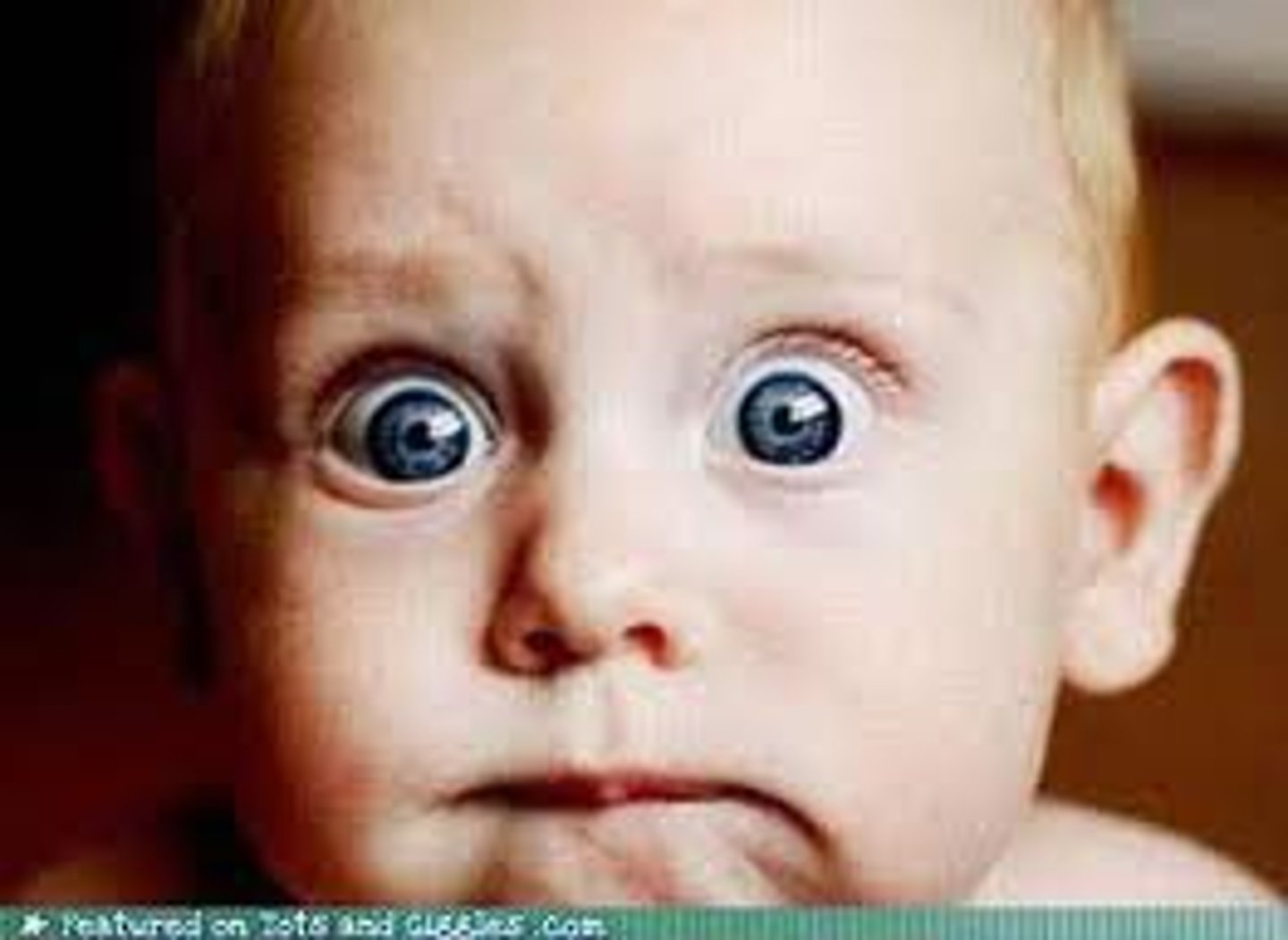 <p>horrified, shocked</p>