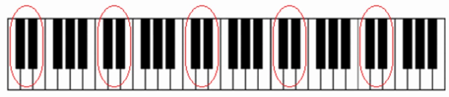 <p>2-black-key group</p>