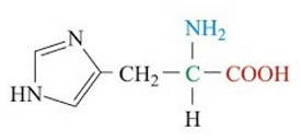 <p>ID this structure</p>
