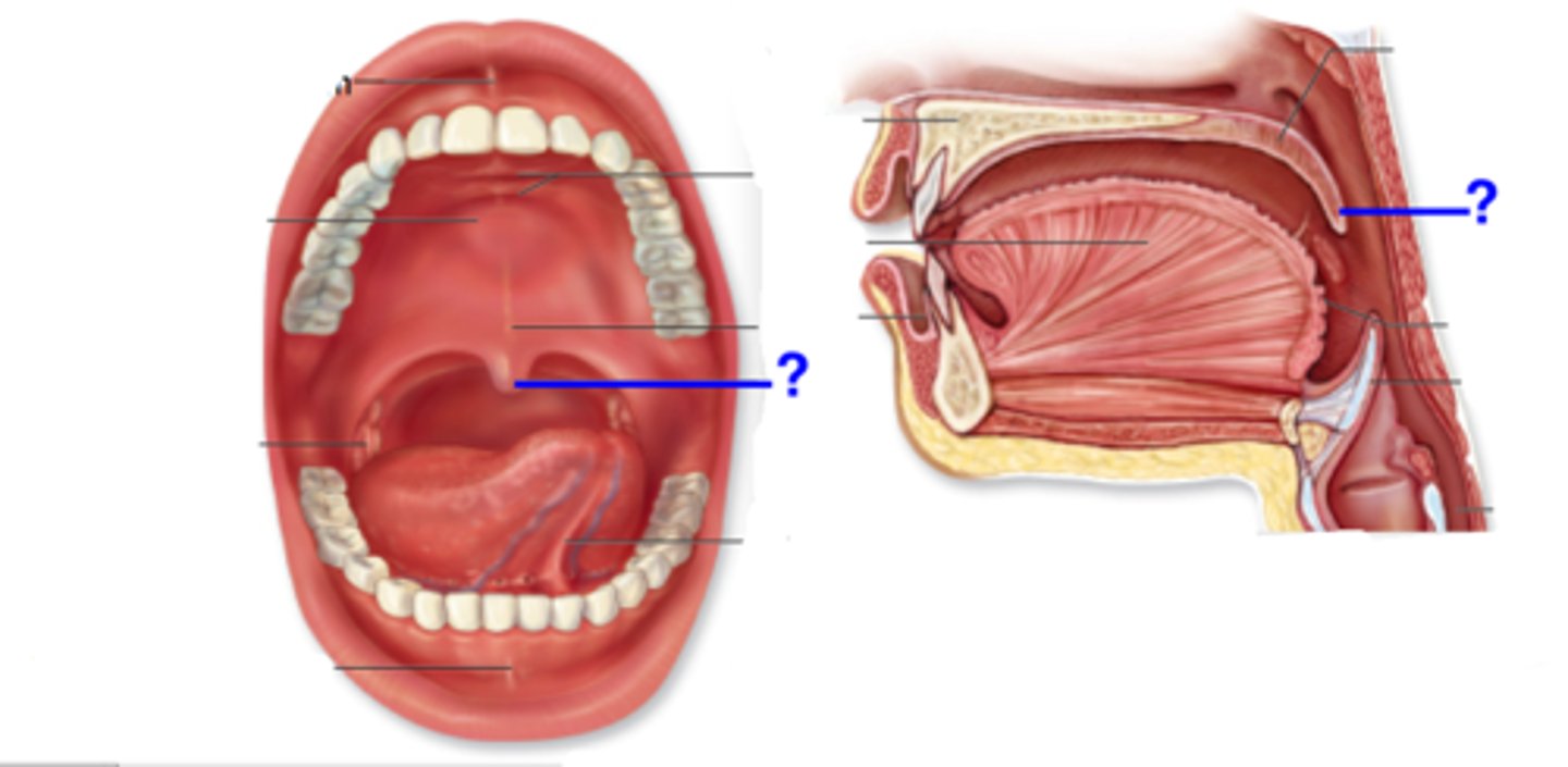 <p><em>identify the structure:</em></p>