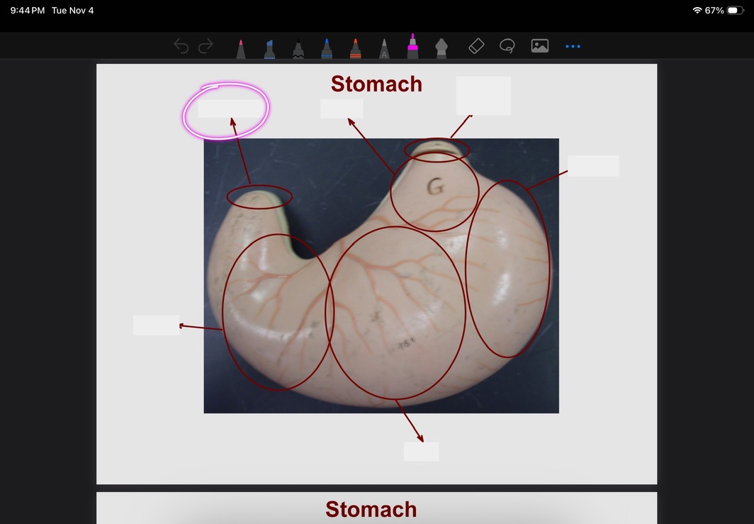 <p>What is this?</p>