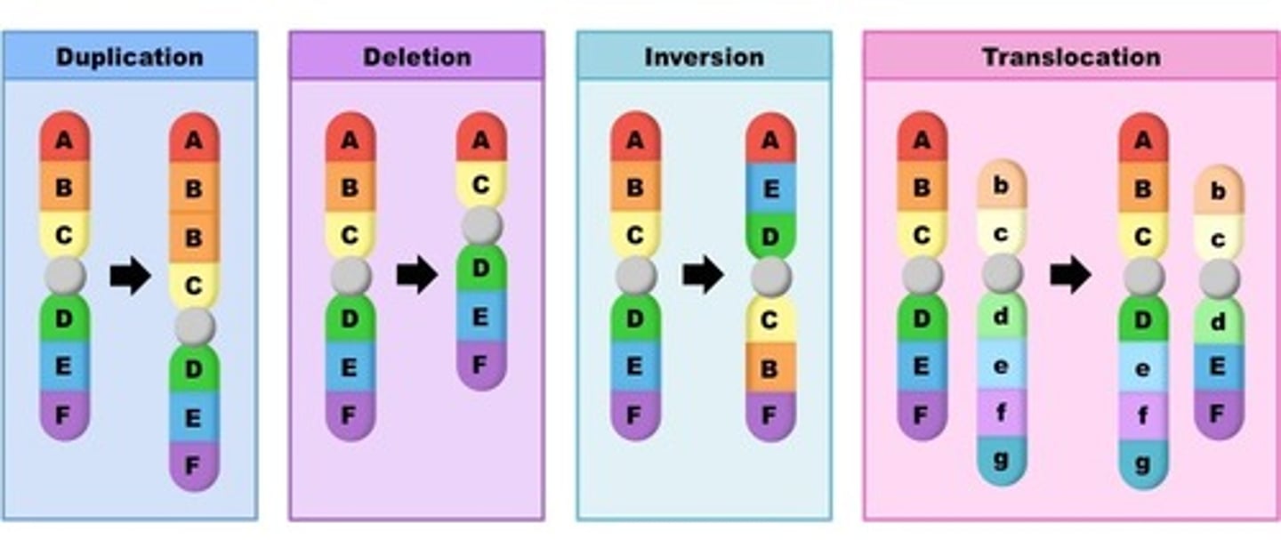 <p>Adding, deletion, or swapping one or more nucleotides</p>