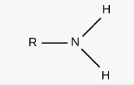 <p>Critical to building all the proteins that makeup life on earth. Peptide bond formation reacts an ____ with a carboxylic acid to form a peptide bond and water.</p>