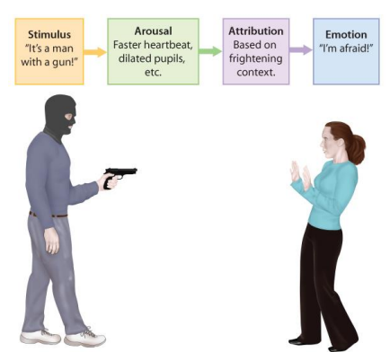 <p>The brain associates an experienced physiological arousal with a <strong>CONTEXT </strong>—&gt; negative or positive (attribution) —&gt; experienced feeling is the result </p><p><strong>THIS IS BETTER ALIGNED WITH MODERN-DAY NEUROSCIENCE</strong></p>