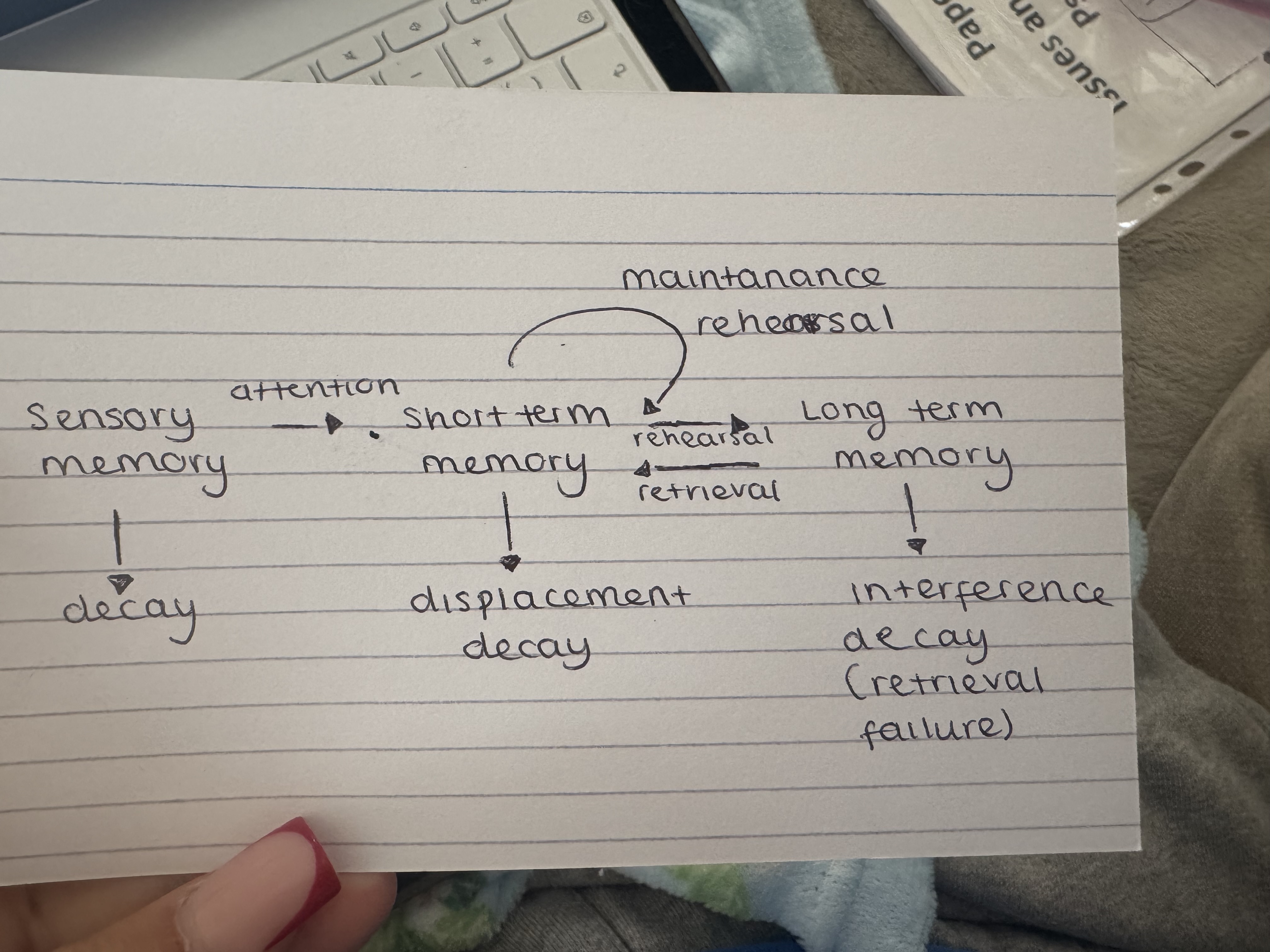 knowt flashcard image