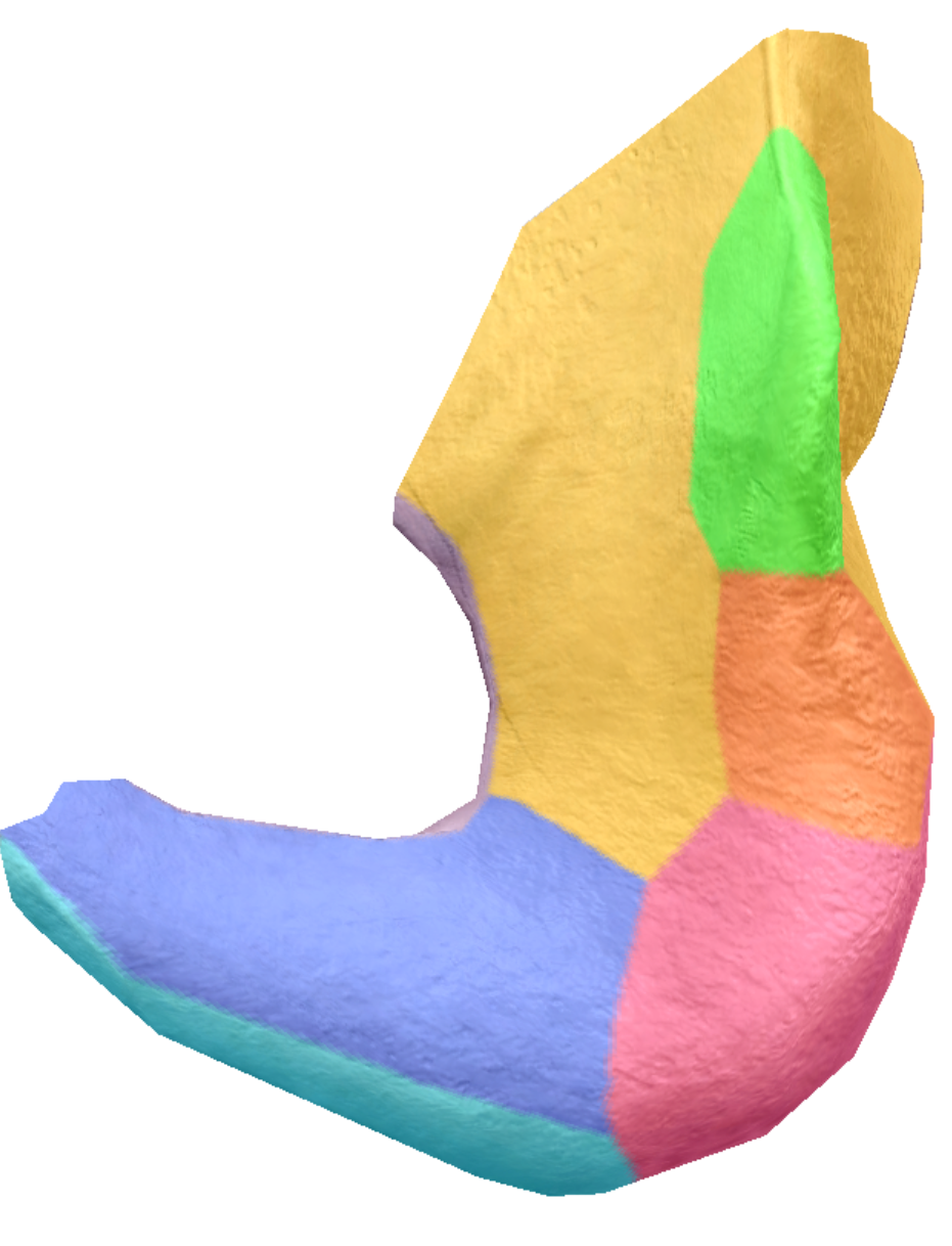 term image