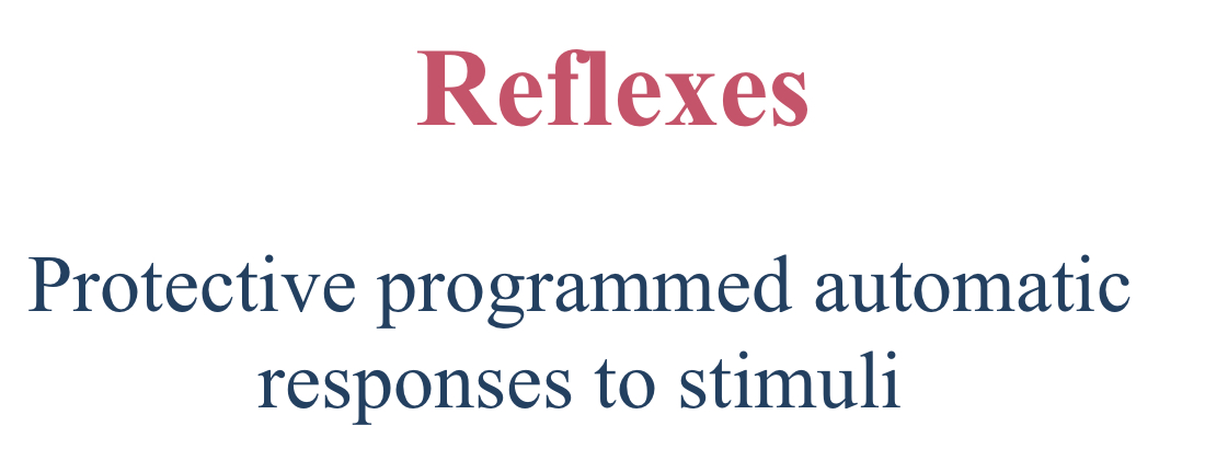 <p>D. Learned</p>