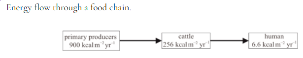 <p><span>what is the percentage energy loss to humans from the initial input in the diagram above?</span></p>