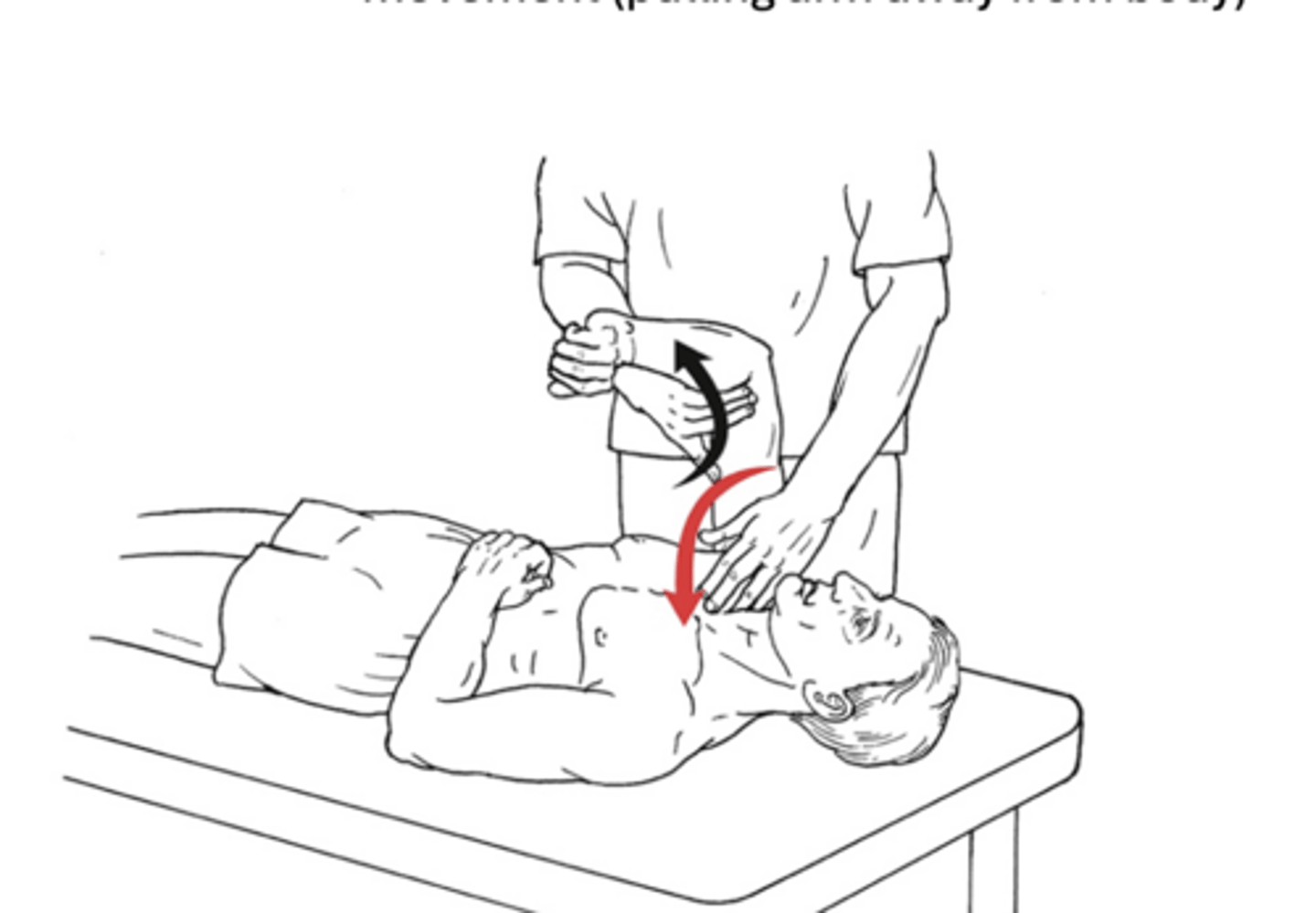 <p>Pectoralis major</p>