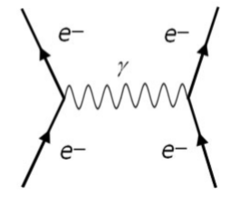 <p>Virtual photons - they have zero mass, infinite range and no charge.</p>