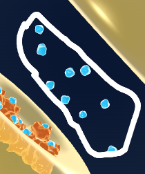 <p>What are neurotransmitters?</p>