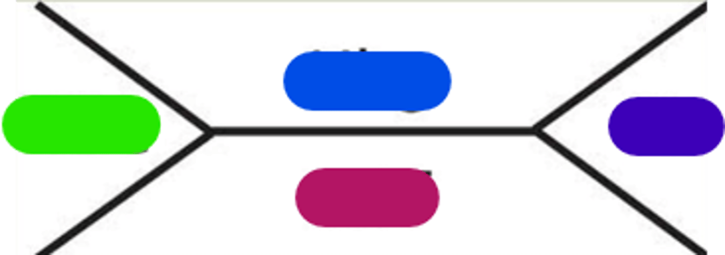 <p>Purple in image.</p>