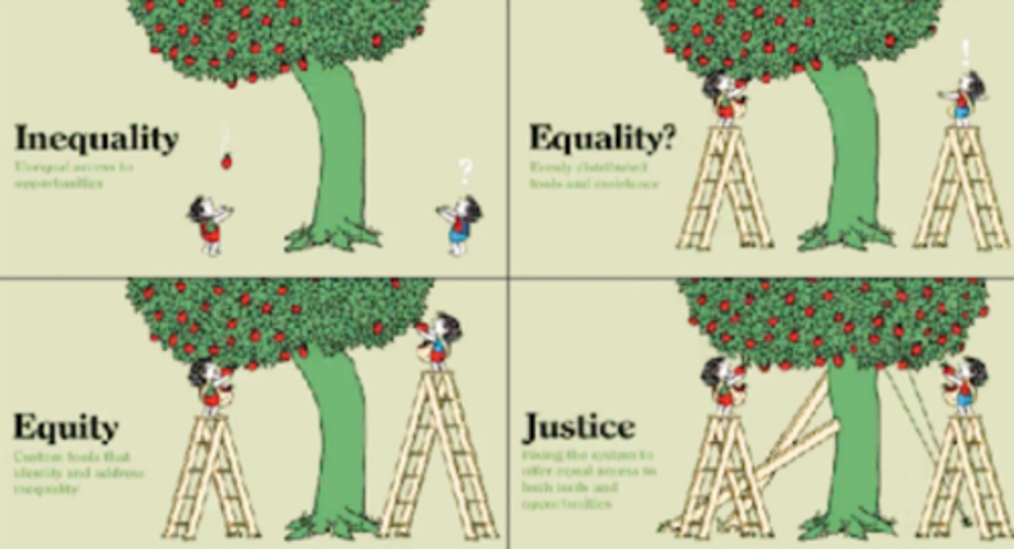 <p>Inequality: Unequal access to opportunities</p><p>Equality: Evenly distributed tools and assistance</p><p>Equity: Custom tools that identity and address inequality </p><p>Justice: Fixing the system to offer equal access to opportunities</p>