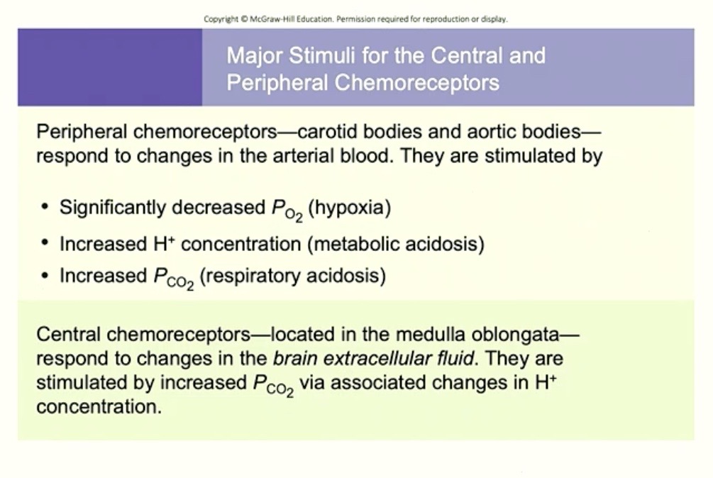 <p><strong>Summary Chart of Chemoreceptors</strong></p>