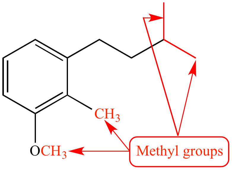 <p>functional group - methyl</p>
