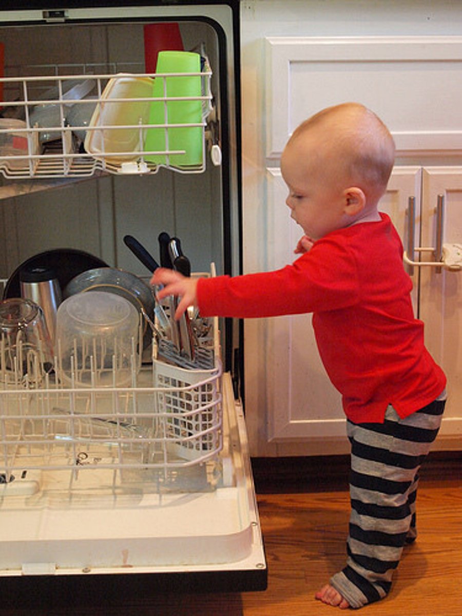 <p>a dishwasher</p>