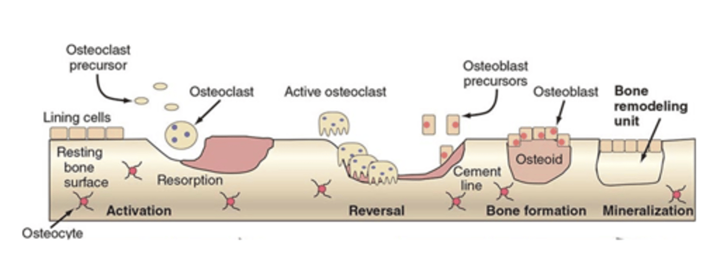 <p>Focal degradation with unpatterned rebuilding</p>