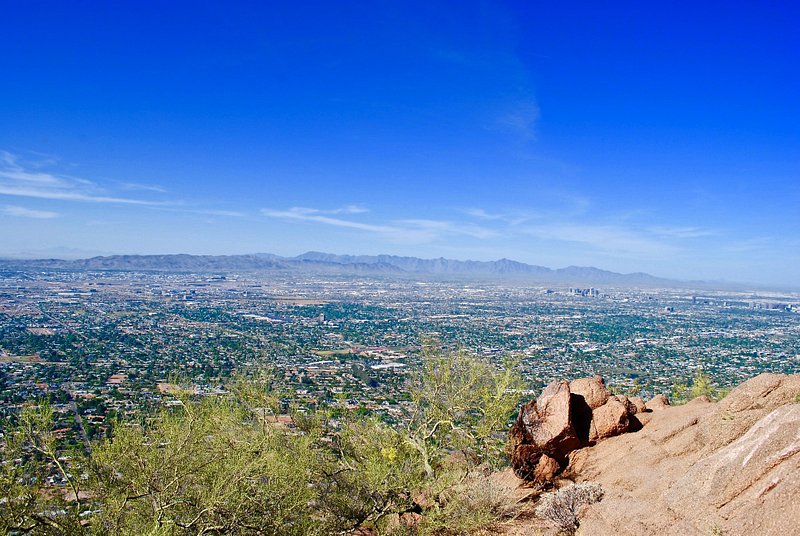 <p>Phoenix</p>