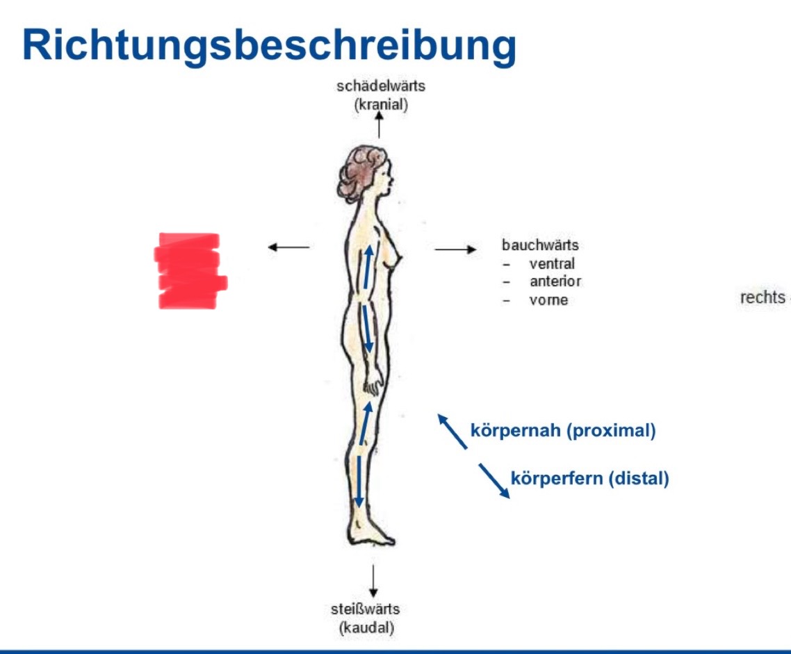 <p>Richtungsbeschreibung </p>
