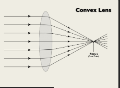 <p>convex lens </p>