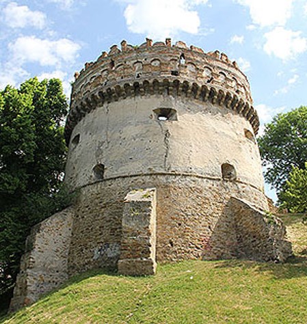 term image
