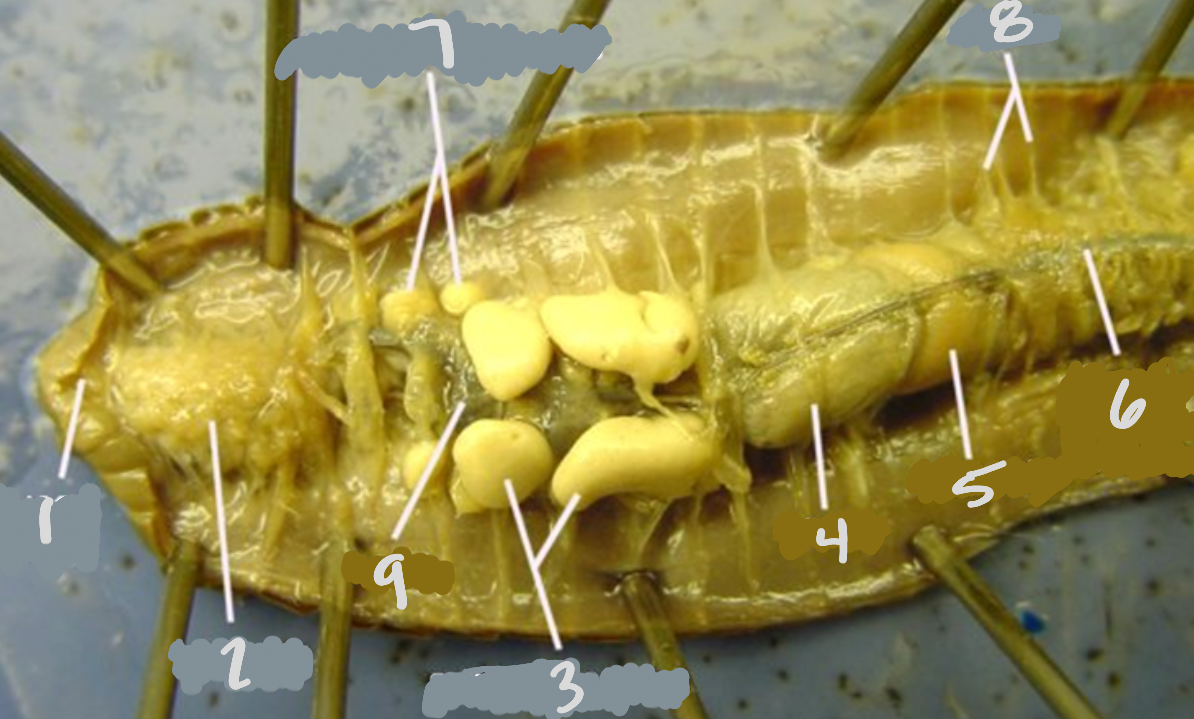 <p>What is number 8?</p>