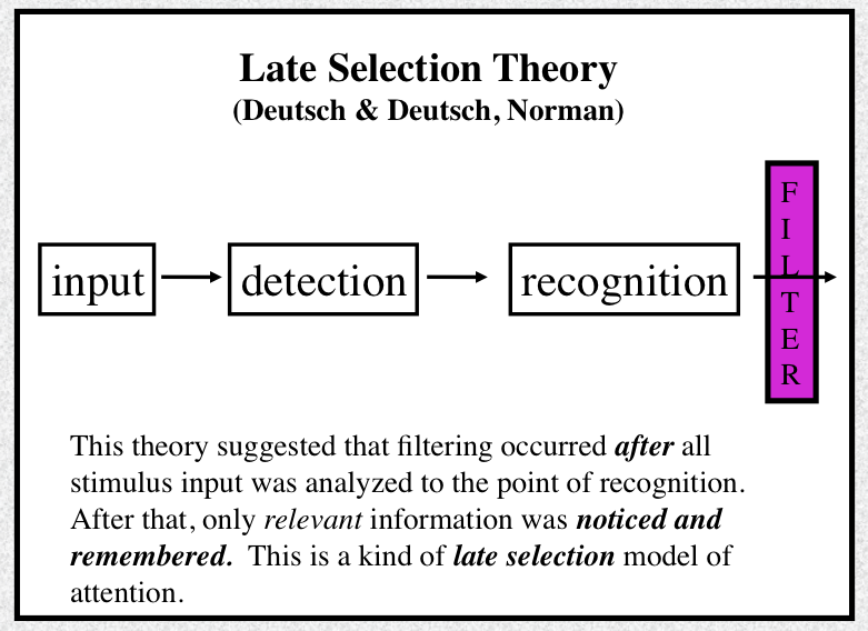 <p>Which model of attention is this and what does it do</p>