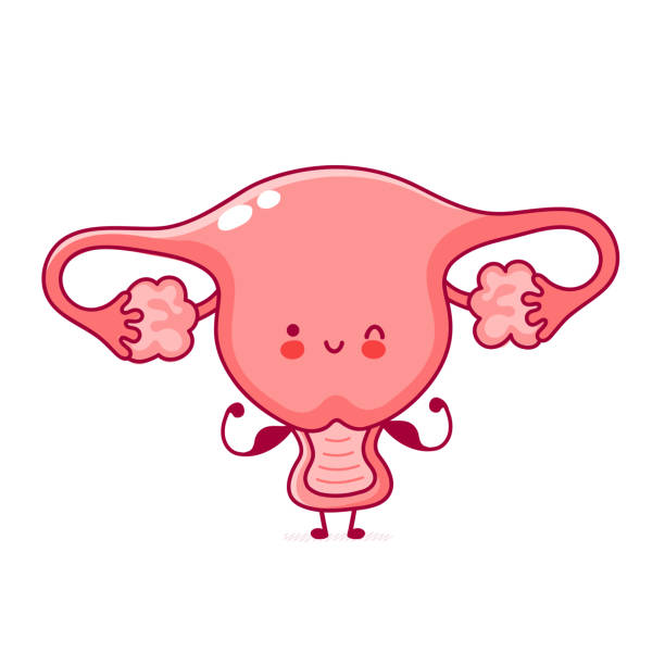 <p><strong>CERVIX</strong></p>