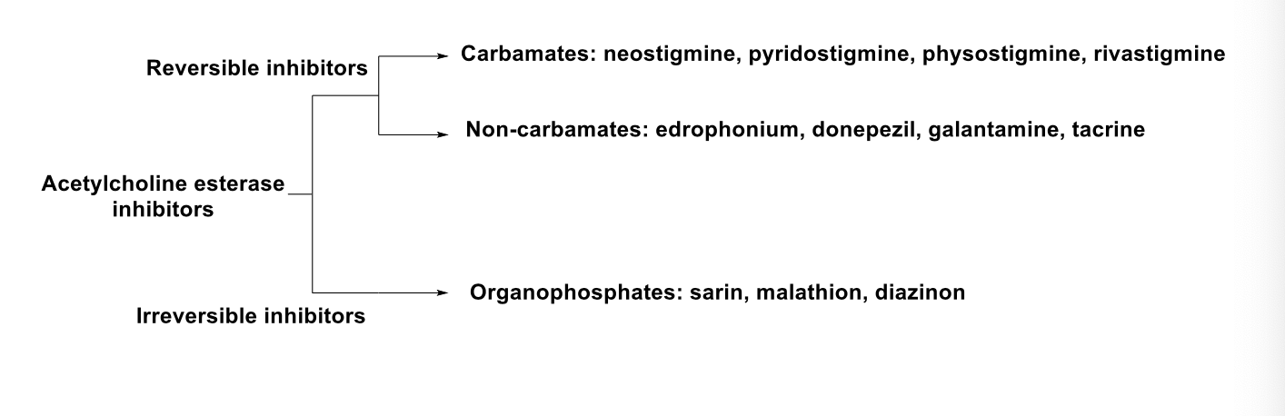 <ul><li><p>reversible inhibitors</p><ul><li><p>carbamates</p><ul><li><p>neostigmine</p></li><li><p>pyridostigmine</p></li><li><p>physostigmine</p></li><li><p>rivastigmine</p></li></ul></li><li><p>non-carbamates</p><ul><li><p>edrophonium</p></li><li><p>donepezil</p></li><li><p>galantamine</p></li><li><p>tacrine</p></li></ul></li></ul></li><li><p>irreversible inhibitors</p><ul><li><p>organophosphates</p><ul><li><p>sarin</p></li><li><p>malathion</p></li><li><p>diazinon</p></li></ul></li></ul></li></ul><p></p>