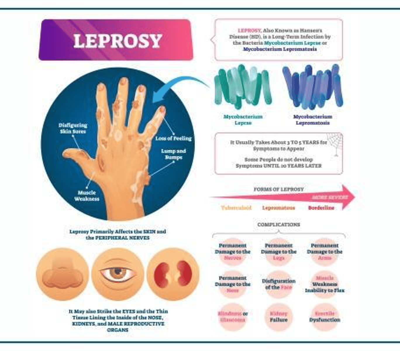 <p>A hospital or institution for the treatment of leprosy patients.</p>