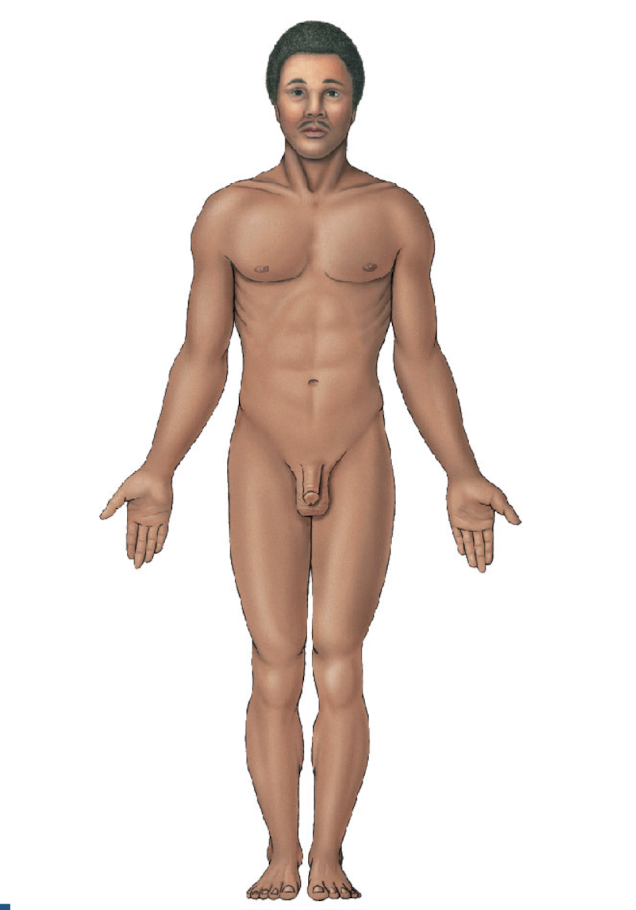 <p>what position is this?</p>
