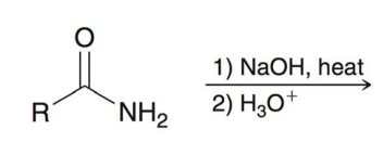 <p>mMechanism</p>