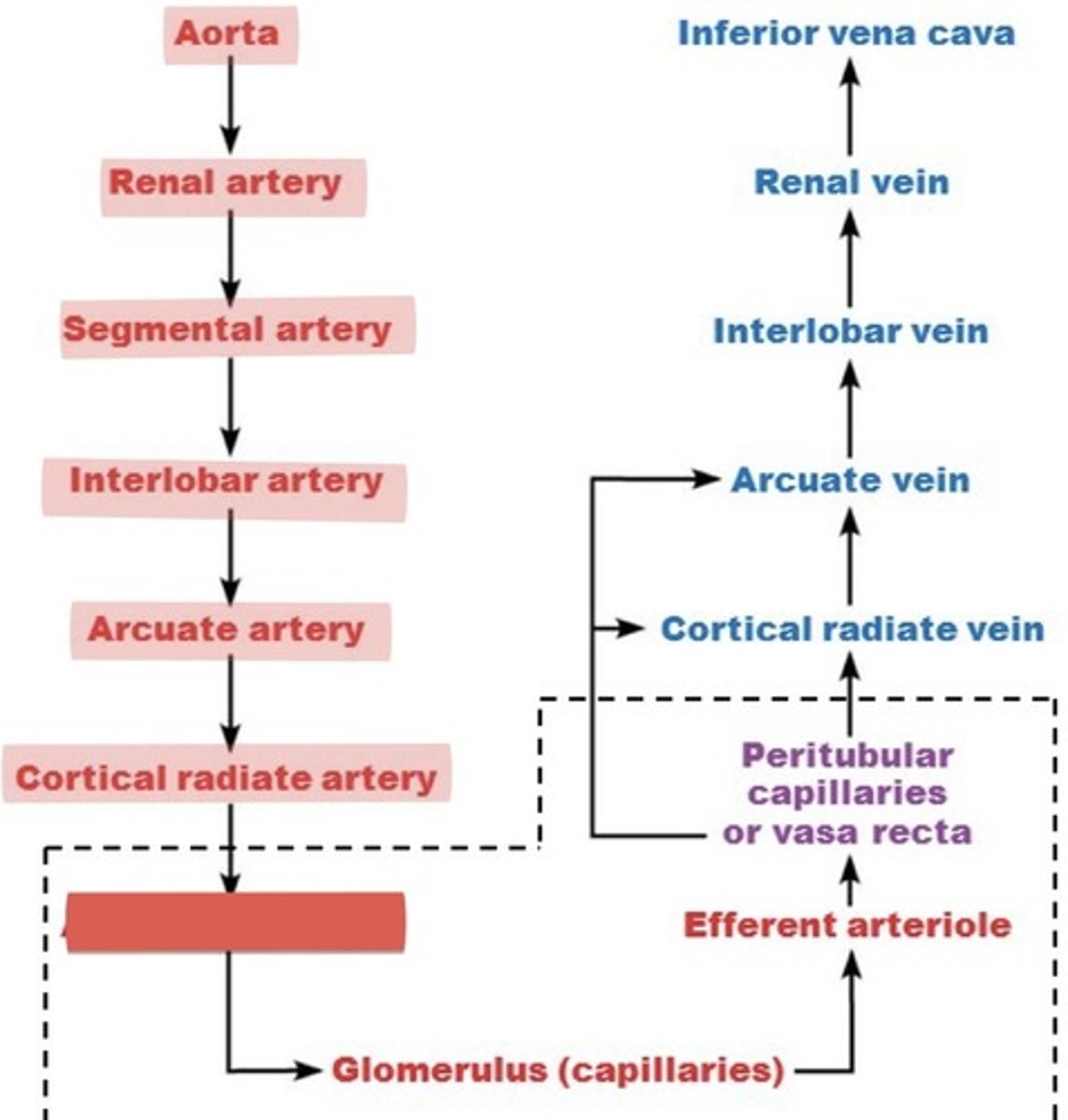 <p>What is this?</p>