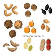 <p>seeds</p>